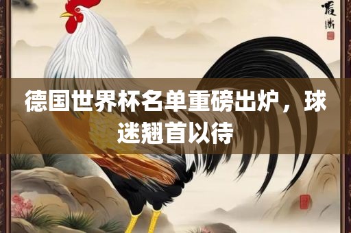 德国世界杯名单重磅出炉，球迷翘首以待