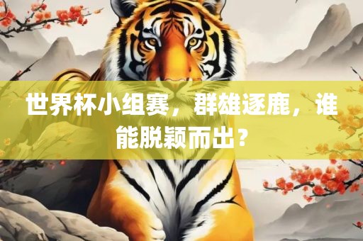 世界杯小组赛，群雄逐鹿，谁能脱颖而出？