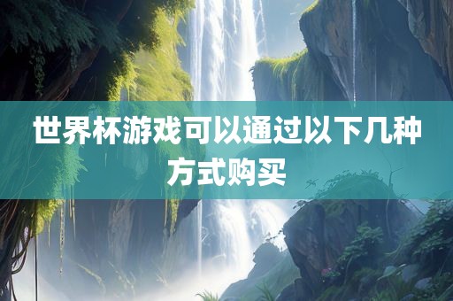 世界杯游戏 第3页