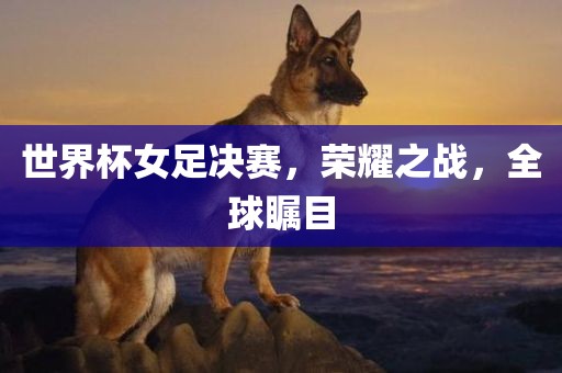 世界杯女足决赛，荣耀之战，全球瞩目