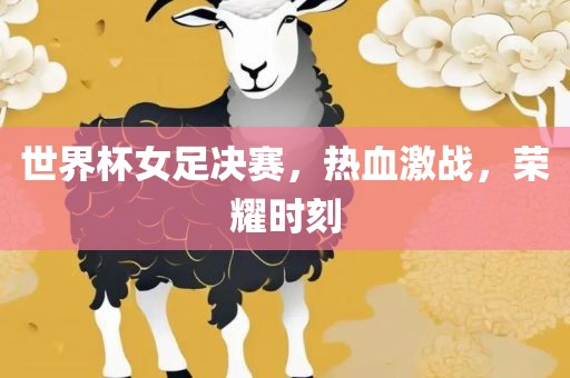 世界杯女足决赛，热血激战，荣耀时刻