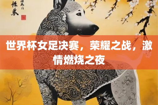 世界杯女足决赛，荣耀之战，激情燃烧之夜