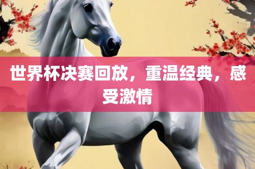世界杯决赛回放，重温经典，感受激情