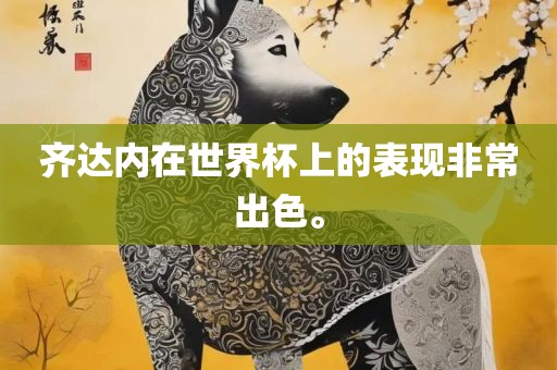 齐达内在世界杯上的表现非常出色。