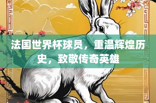 法国世界杯球员，重温辉煌历史，致敬传奇英雄