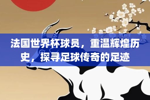 法国世界杯球员，重温辉煌历史，探寻足球传奇的足迹