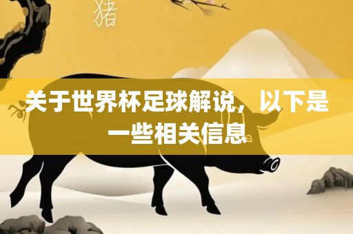 关于世界杯足球解说，以下是一些相关信息