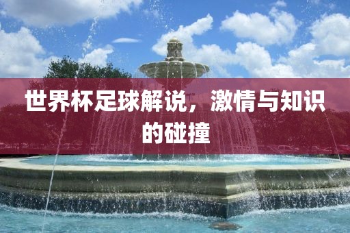世界杯足球解说，激情与知识的碰撞