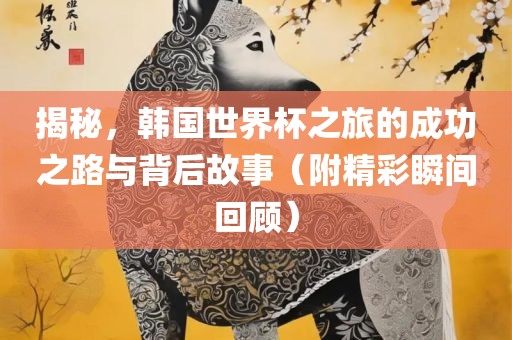 揭秘，韩国世界杯之旅的成功之路与背后故事（附精彩瞬间回顾）