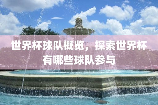 世界杯球队概览，探索世界杯有哪些球队参与