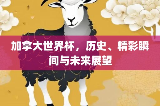 加拿大世界杯，历史、精彩瞬间与未来展望漯河市盈旭机械设备有限公司