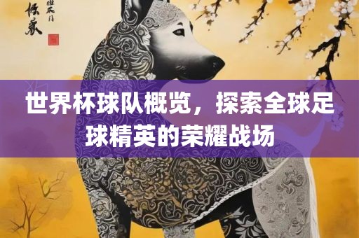 世界杯球队概览，探索全球足球精英的荣耀战场