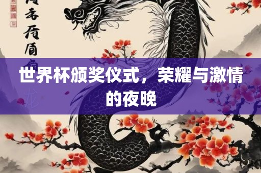 世界杯颁奖仪式，荣耀与激情的夜晚