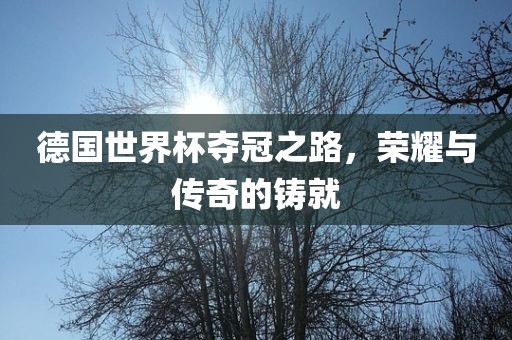 德国世界杯夺冠之路，荣耀与传奇的铸就