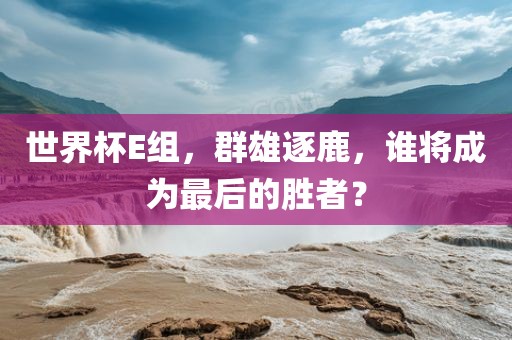 世界杯E组，群雄逐鹿，谁将成为最后的胜者？