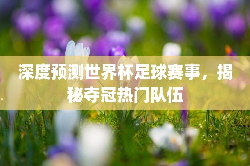 深度预测世界杯足球赛事，揭秘夺冠热门队伍