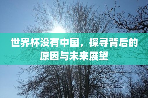 世界杯没有中国，探寻背后的原因与未来展望