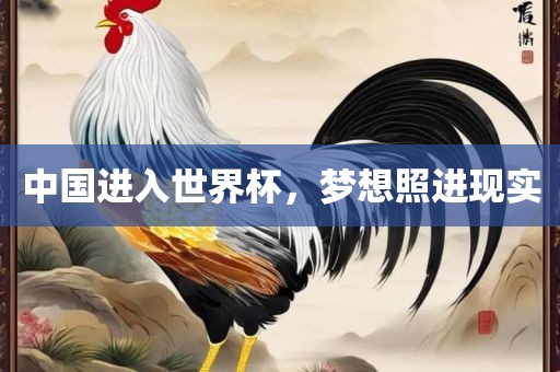 中国进入世界杯，梦想照进现实