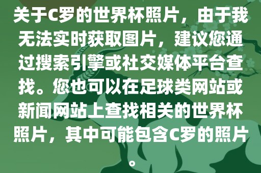 关于C罗的世界杯照片，由于我无法实时获取图片，建议您通过搜索引擎或社交媒体平台查找。您也可以在足球类网站或新闻网站上查找相关的世界杯照片，其中可能包含C罗的照片。