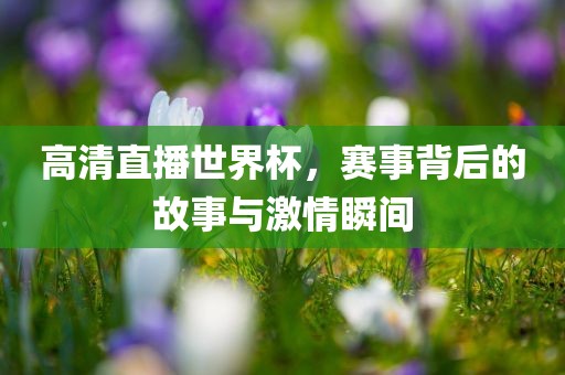 高清直播世界杯，赛事背后的故事与激情瞬间