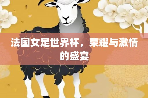 法国女足世界杯，荣耀与激情的盛宴