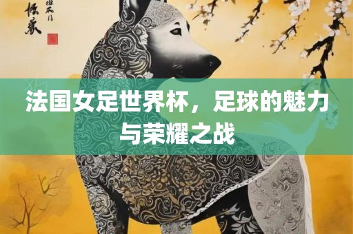 法国女足世界杯，足球的魅力与荣耀之战