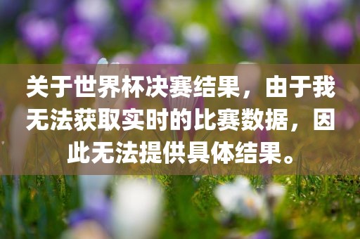 关于世界杯决赛结果，由于我无法获取实时的比赛数据，因此无法提供具体结果。