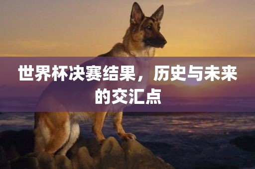 世界杯决赛结果，历史与未来的交汇点