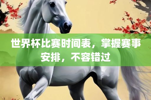 世界杯比赛时间表，掌握赛事安排，不容错过