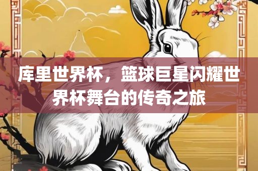 库里世界杯，篮球巨星闪耀世界杯舞台的传奇之旅