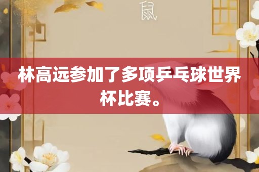 林高远参加了多项乒乓球世界杯比赛。