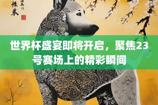 世界杯盛宴即将开启，聚焦23号赛场上的精彩瞬间