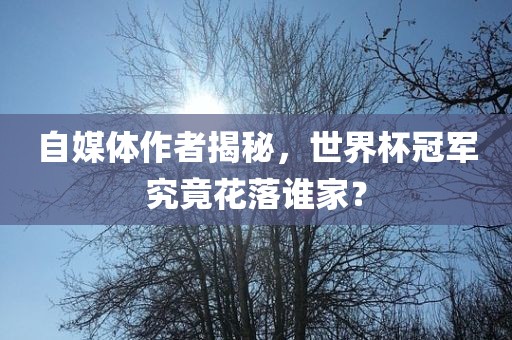 自媒体作者揭秘，世界杯冠军究竟花落谁家？漯河市盈旭机械设备有限公司