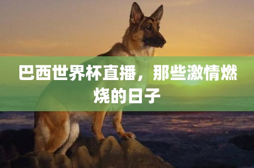 巴西世界杯直播，那些激情燃烧的日子