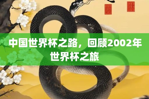 中国世界杯之路，回顾2002年世界杯之旅