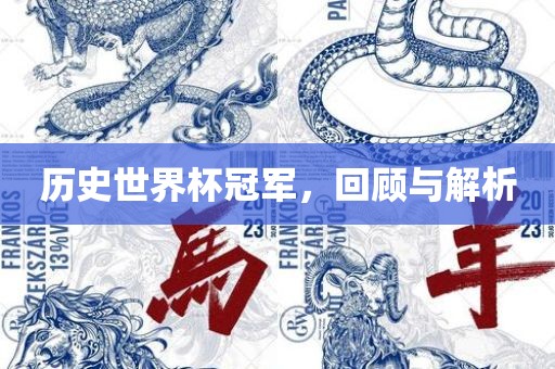 历史世界杯冠军漯河市盈旭机械设备有限公司，回顾与解析
