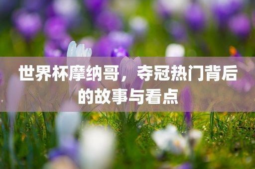 世界杯摩纳哥，夺冠热门背后的故事与看点