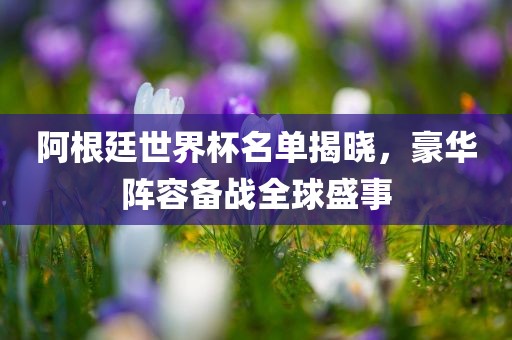 阿根廷世界杯名单揭晓，豪华阵容备战全球盛事