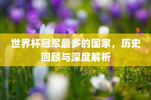 世界杯冠军最多的国家，历史回顾与深度解析