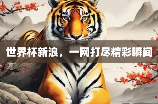 世界杯新浪，一网打尽精彩瞬间漯河市盈旭机械设备有限公司