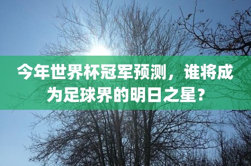 今年世界杯冠军预测，谁将成为足球界的明日之星？