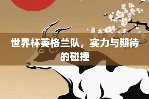 世界杯英格兰队，实力与期待的碰撞