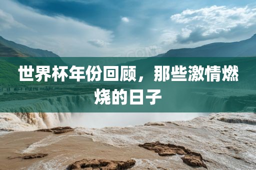 世界杯年份回顾，那些激情燃烧的日子漯河市盈旭机械设备有限公司