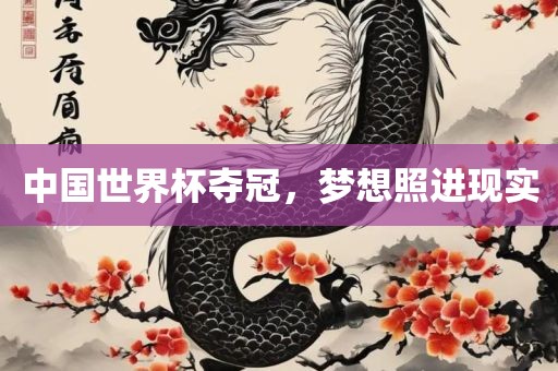 中国世界杯夺冠，梦想照进现实漯河市盈旭机械设备有限公司