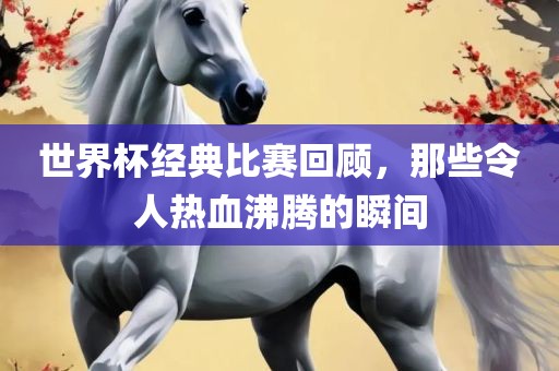 世界杯经典比赛回顾