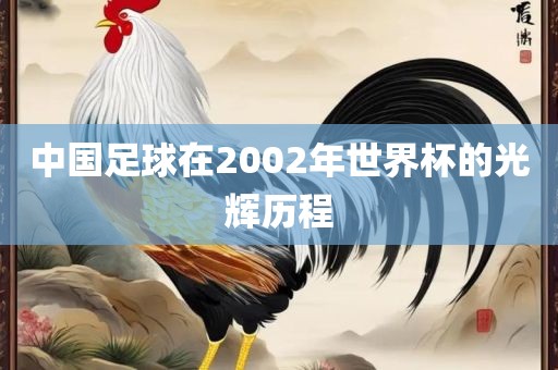 中国足球在2002年世界杯的光辉历程漯河市盈旭机械设备有限公司