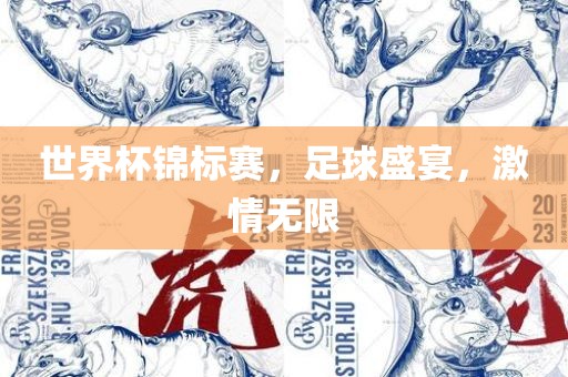 世界杯锦标赛，足球盛宴，激情无限