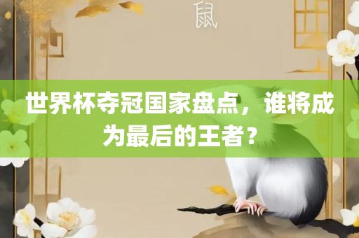 世界杯夺冠国家盘点，谁将成为最后的王者？