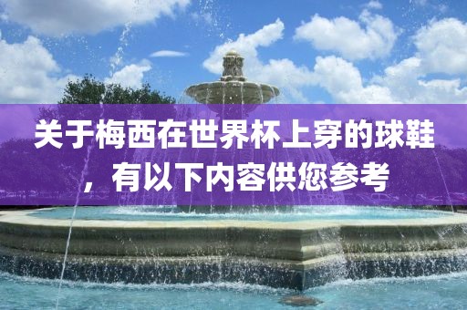 关于梅西在世界杯上穿的球鞋，有以下内容供您参考