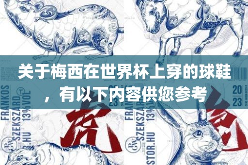 关于梅西在世界杯上穿的球鞋，有以下内容供您参考